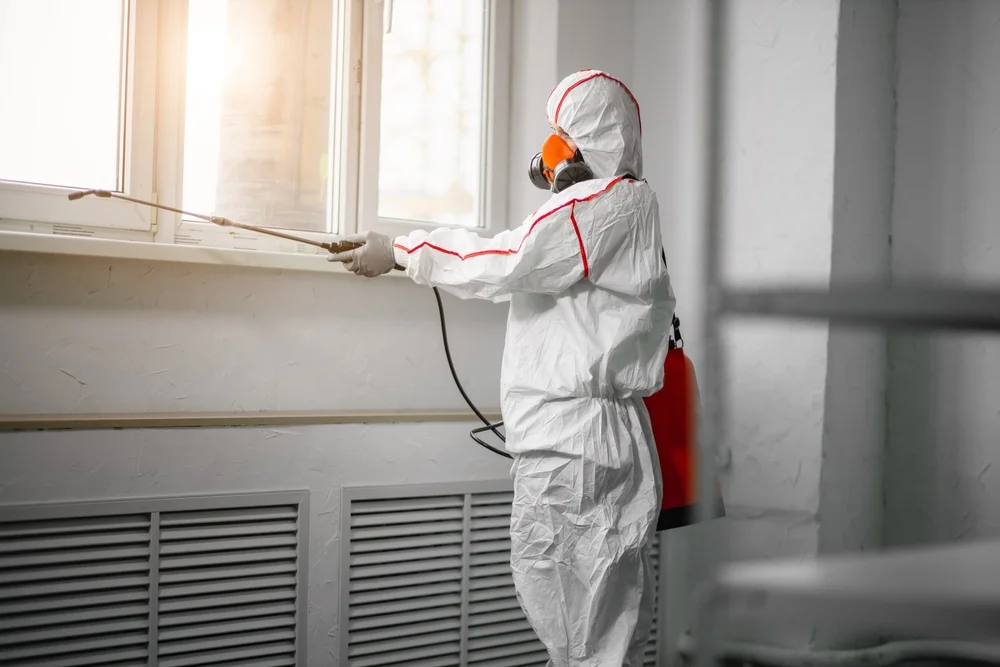 Professional mold remediation services in West Liberty, WV